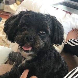 Meet your Posher, Victoria